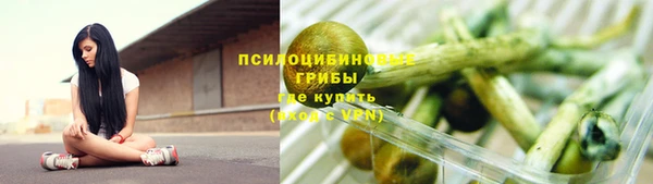 гашик Белокуриха