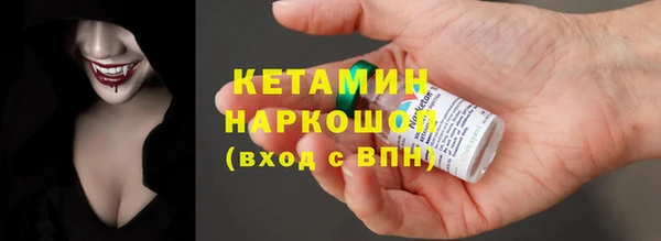 дмт Богданович