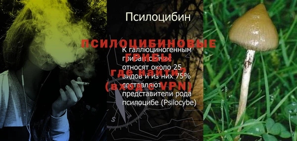 марки nbome Беломорск