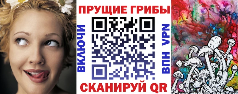 Купить где  Ступино  Псилоцибиновые грибы MAGIC MUSHROOMS 